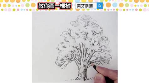 樹怎麼寫